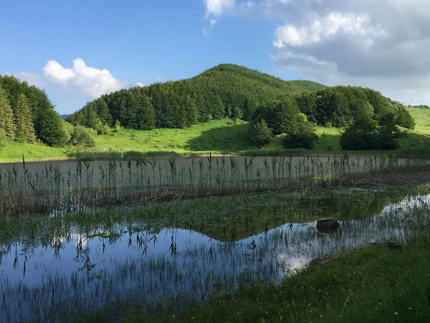 Appartamento Casa Blanche Fanano